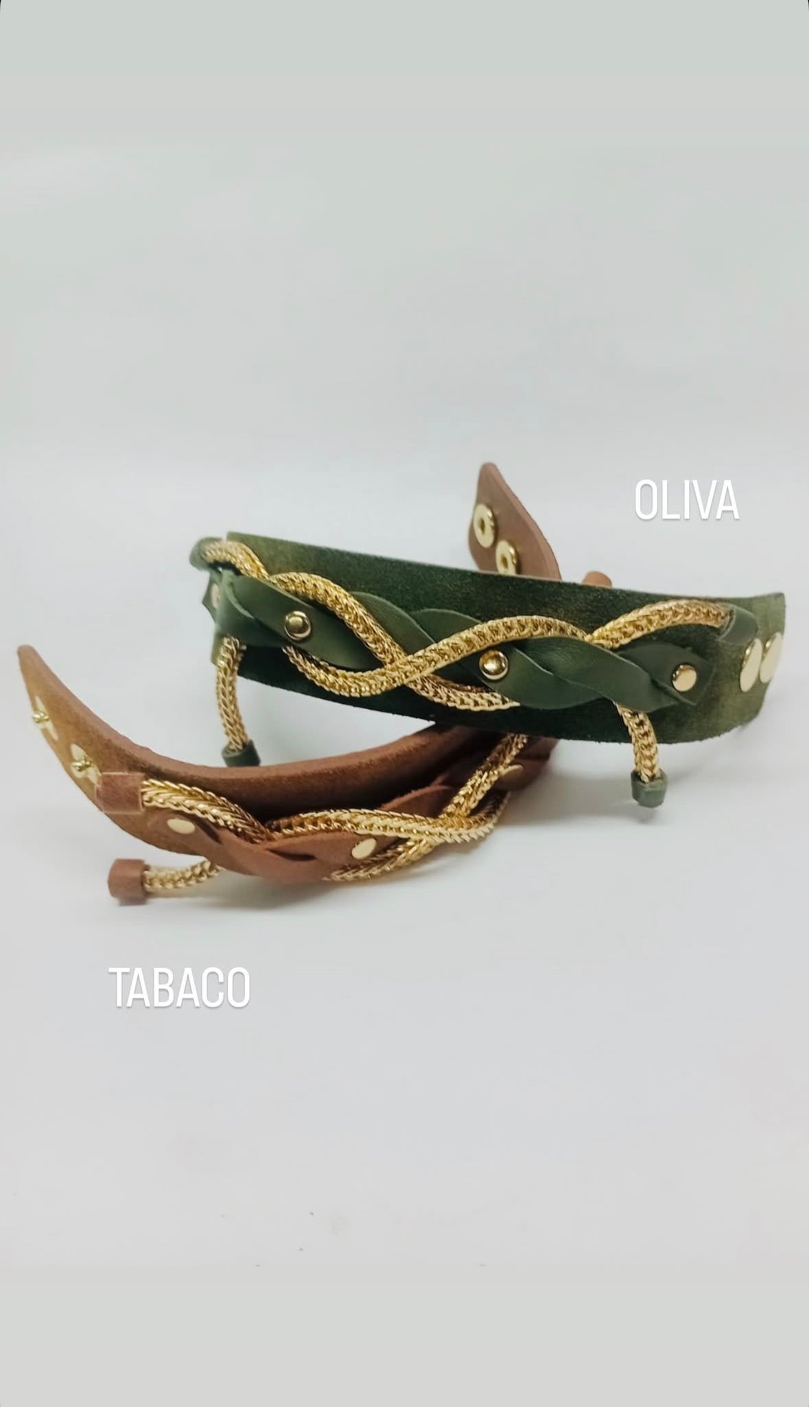 | OLIVA |