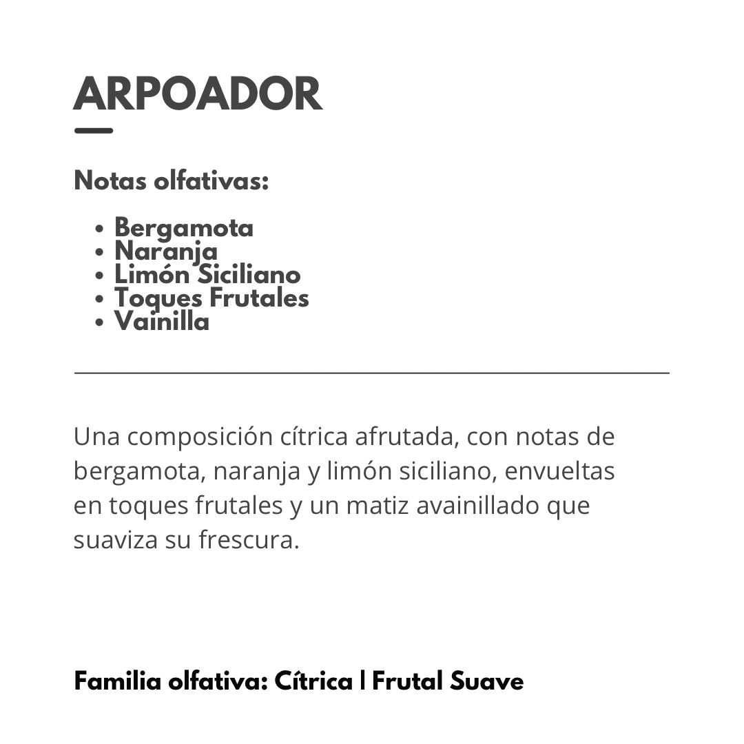 HOME SPRAY Arpoador 400ml (transf. Bancaria $1150)
