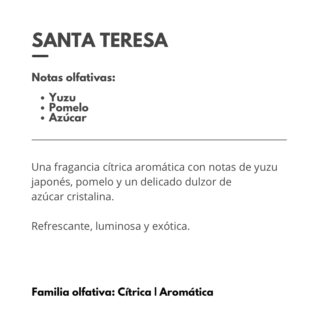 HOME SPRAY Santa Teresa 400ml (transf. Bancaria $1150)