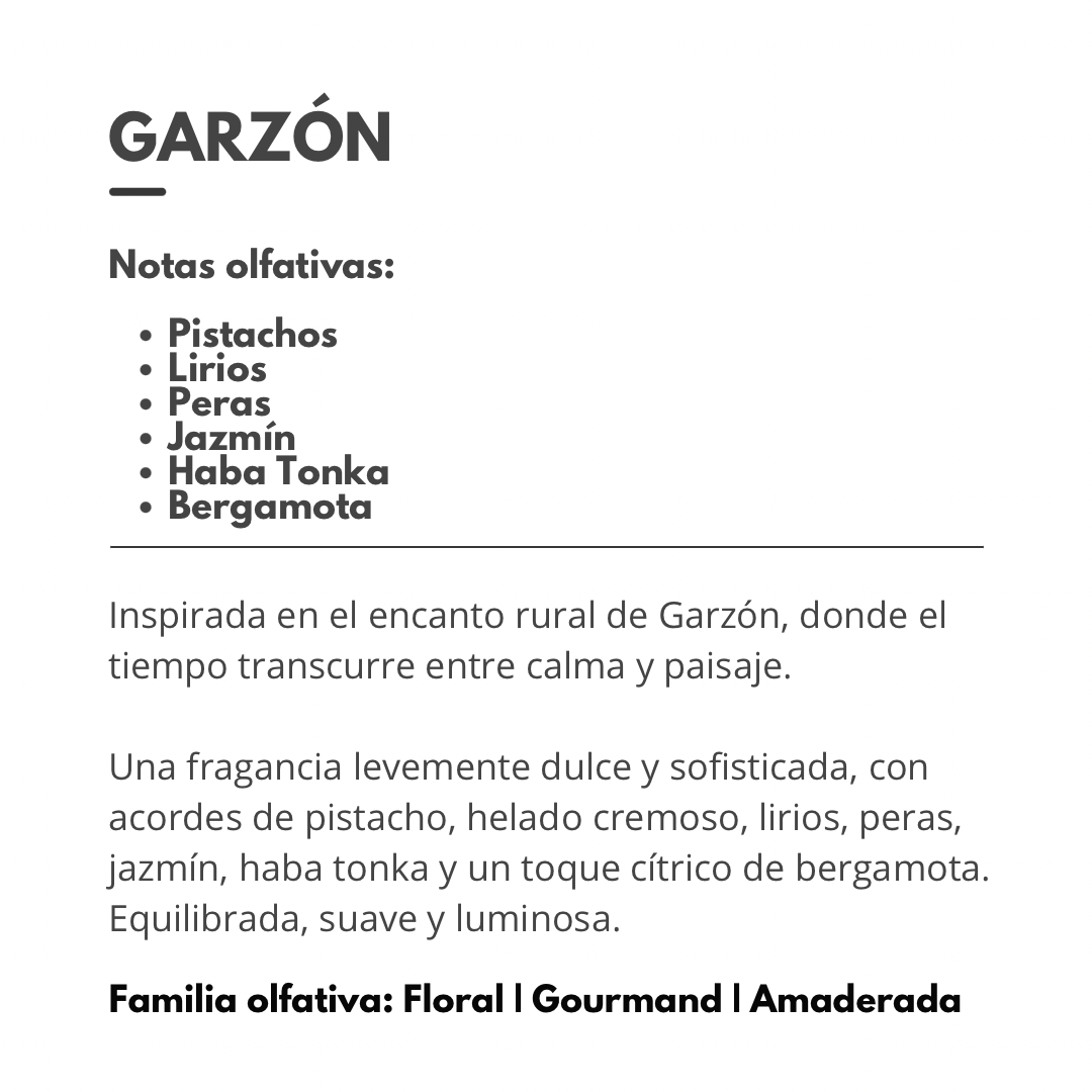 HOME SPRAY Garzón 400ml (transf. Bancaria $1150)