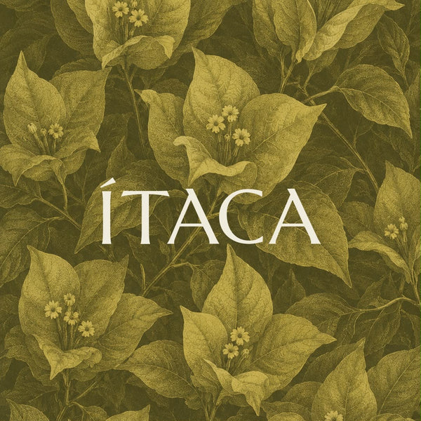 Ítaca